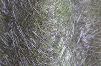 Clitheroe fibreglass roof work